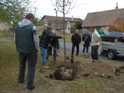 Sázení pamětní lípy 2018